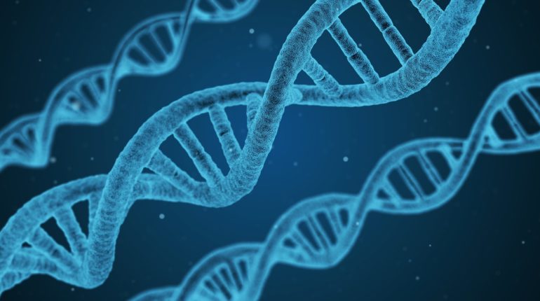 Elica del DNA
